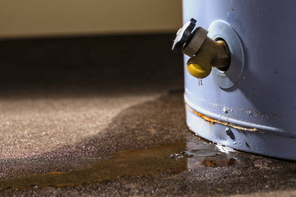 Best Water damage repair service  in Rogue River, OR