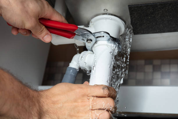 Best Local water damage restoration  in Rogue River, OR