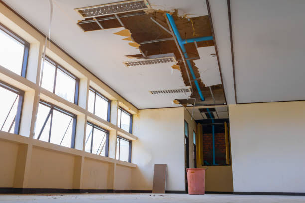 Best Water damage contractors near me  in Rogue River, OR