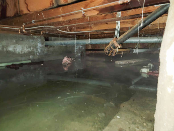 Best Water damage restoration near me  in Rogue River, OR