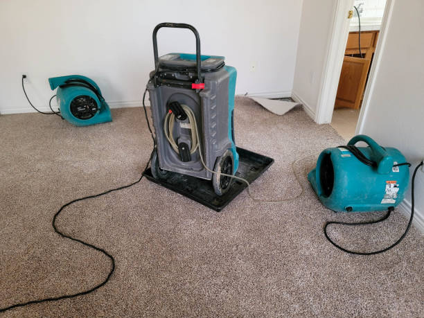 Best Carpet water damage restoration  in Rogue River, OR