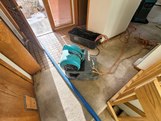 Best Water damage mitigation services  in Rogue River, OR