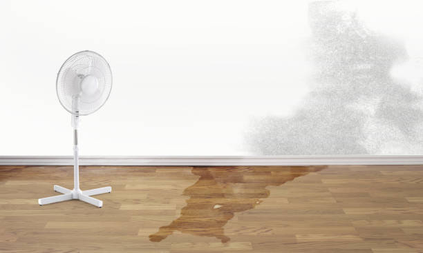 Fire Damage Restoration in Rogue River, OR