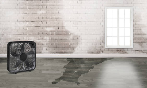Best 24/7 water damage repair  in Rogue River, OR