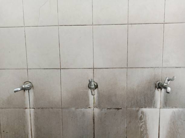 Best Emergency water damage restoration  in Rogue River, OR