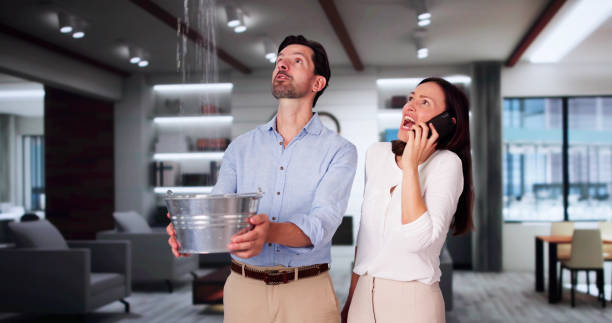 Best Ceiling water damage repair  in Rogue River, OR